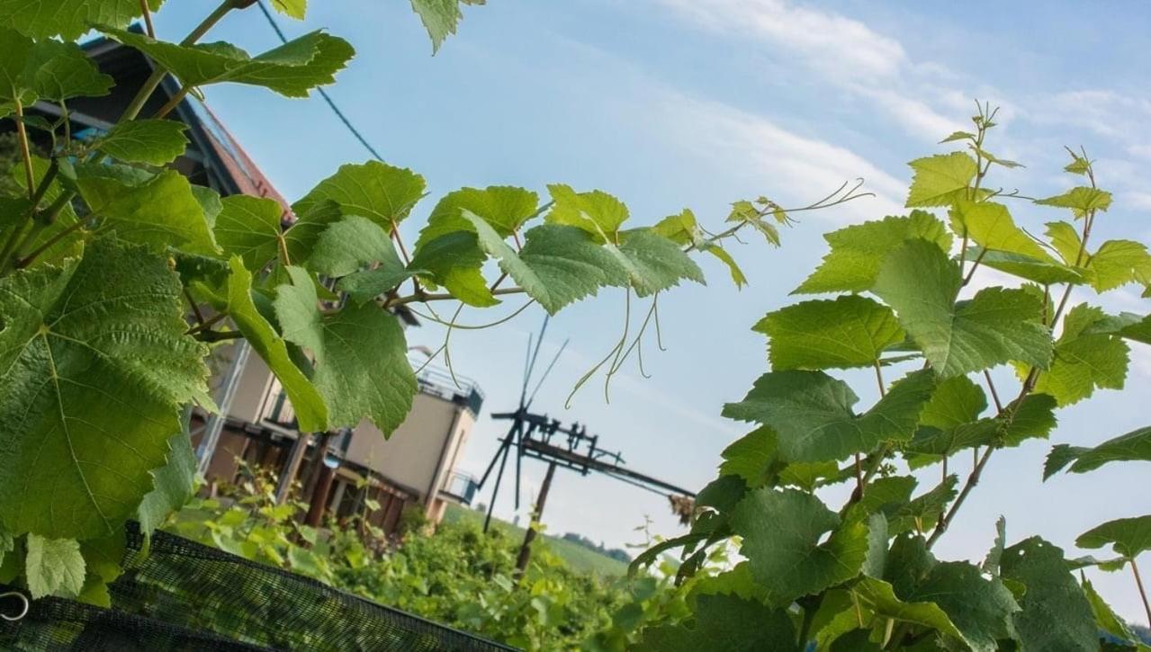 Zweytick Gaestezimmer Weingut Ratsch an der Weinstraße Exterior foto