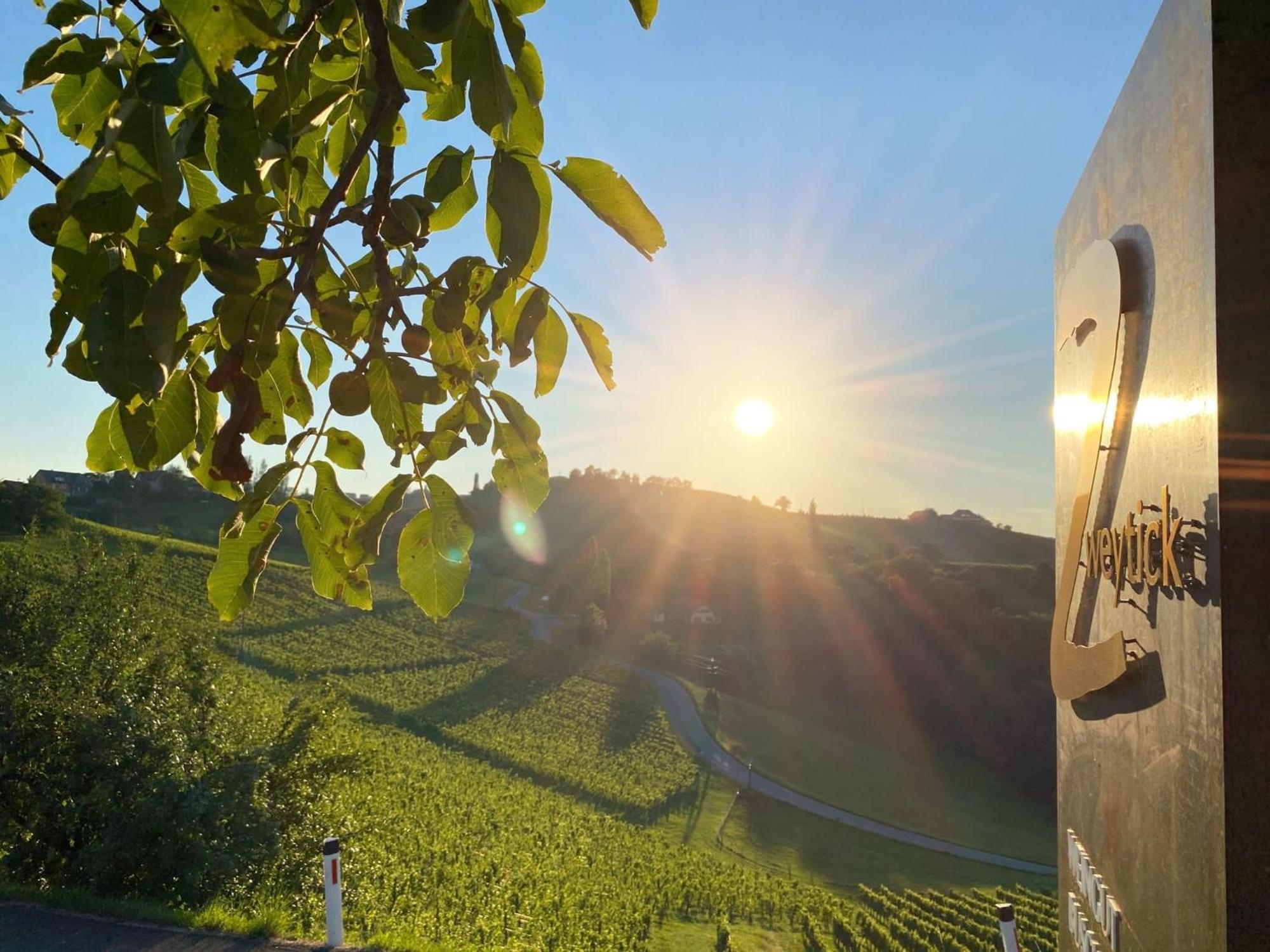 Zweytick Gaestezimmer Weingut Ratsch an der Weinstraße Exterior foto