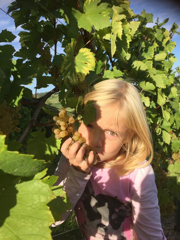 Zweytick Gaestezimmer Weingut Ratsch an der Weinstraße Exterior foto